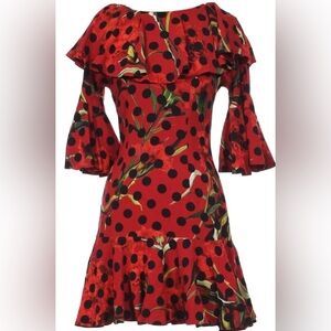 Dolce & Gabbana runway dress